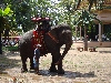 Sam Bo der Wat Phnom Elefant